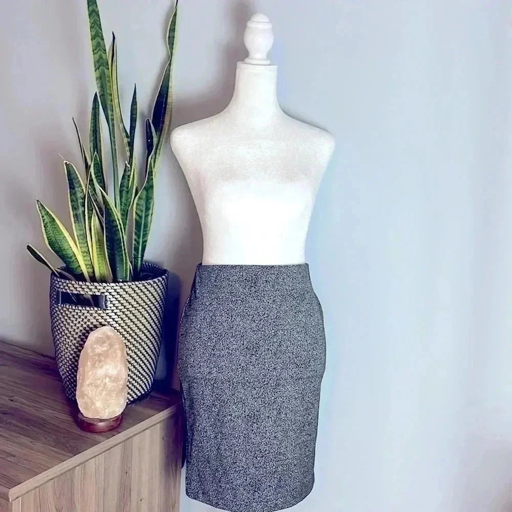 NWOT Ann Taylor Pencil Skirt